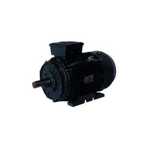 Motor 0,75KW 220/380V B-3 4P IP55