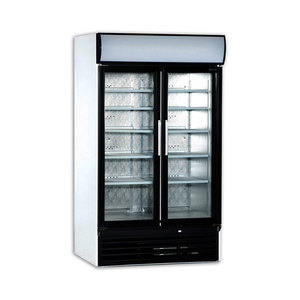 Armarios expositores refrigerados puerta abatible de cristal USS 1200 D2KLG